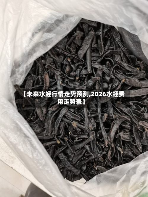 【未来水蛭行情走势预测,2026水蛭费用走势表】
