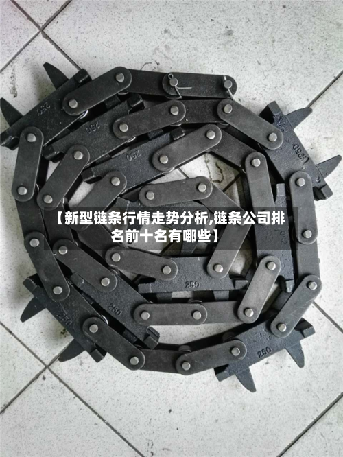 【新型链条行情走势分析,链条公司排名前十名有哪些】