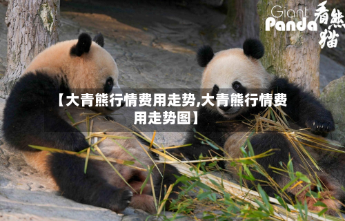 【大青熊行情费用走势,大青熊行情费用走势图】