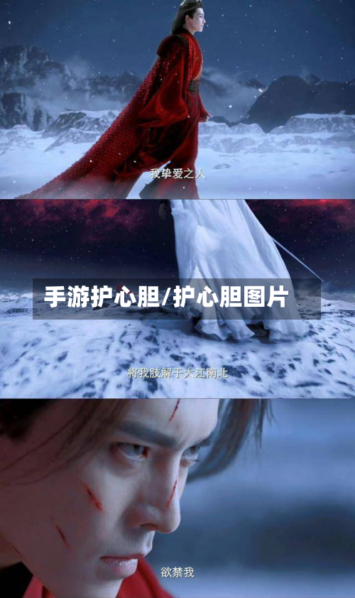 手游护心胆/护心胆图片