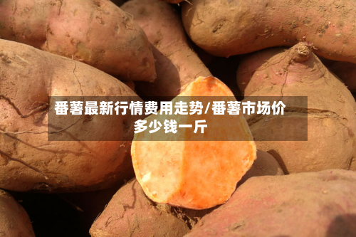 番薯最新行情费用走势/番薯市场价多少钱一斤-第2张图片
