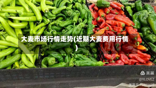 大麦市场行情走势(近期大麦费用行情)-第2张图片