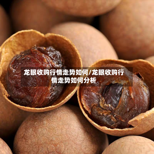 龙眼收购行情走势如何/龙眼收购行情走势如何分析