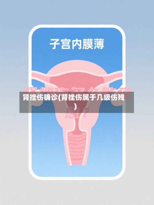 肾挫伤确诊(肾挫伤属于几级伤残)