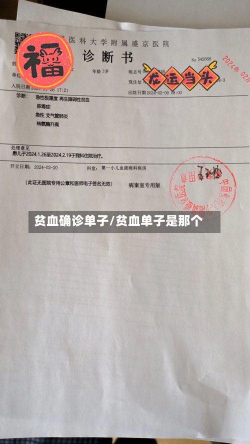 贫血确诊单子/贫血单子是那个