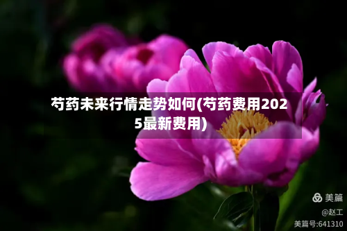 芍药未来行情走势如何(芍药费用2025最新费用)