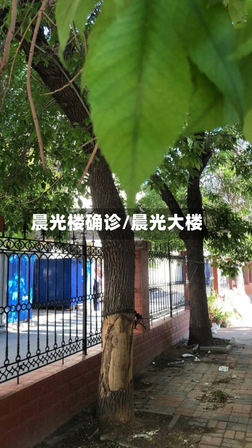 晨光楼确诊/晨光大楼