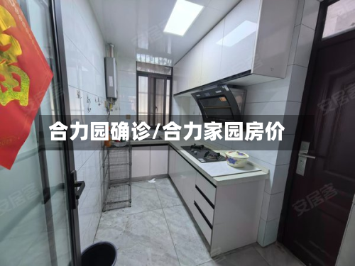 合力园确诊/合力家园房价-第2张图片