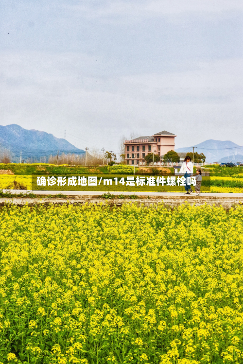 确诊形成地图/m14是标准件螺栓吗
