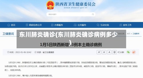 东川肺炎确诊(东川肺炎确诊病例多少)-第2张图片