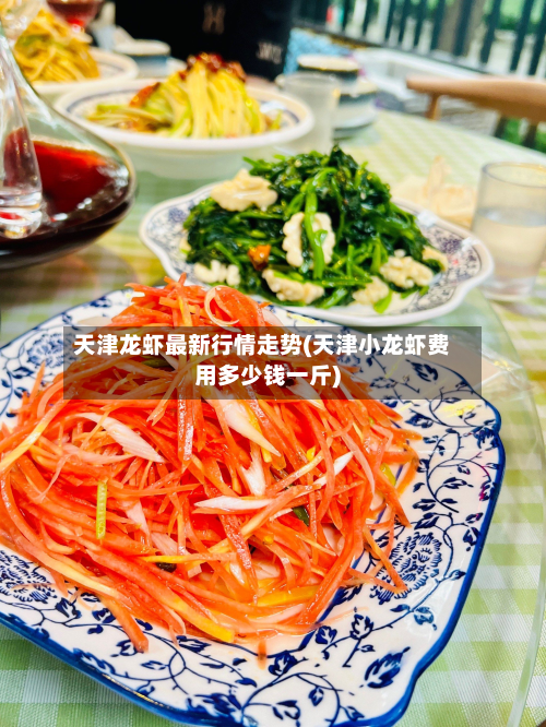 天津龙虾最新行情走势(天津小龙虾费用多少钱一斤)