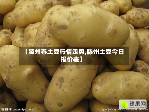 【滕州春土豆行情走势,滕州土豆今日报价表】
