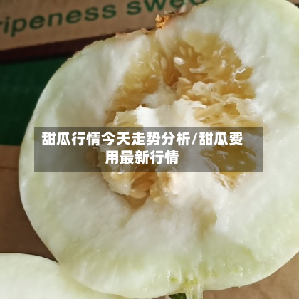 甜瓜行情今天走势分析/甜瓜费用最新行情-第3张图片
