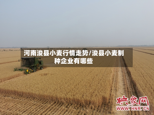 河南浚县小麦行情走势/浚县小麦制种企业有哪些-第3张图片