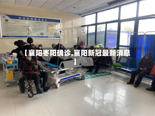 【襄阳枣阳确诊,襄阳新冠最新消息】-第3张图片