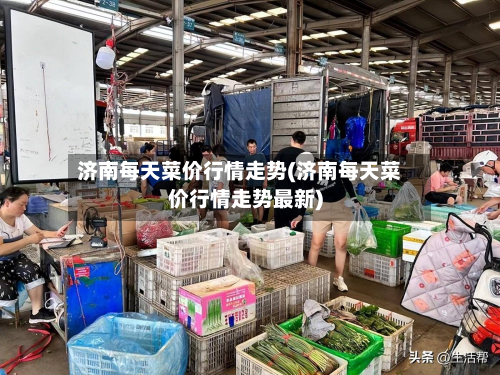 济南每天菜价行情走势(济南每天菜价行情走势最新)-第3张图片