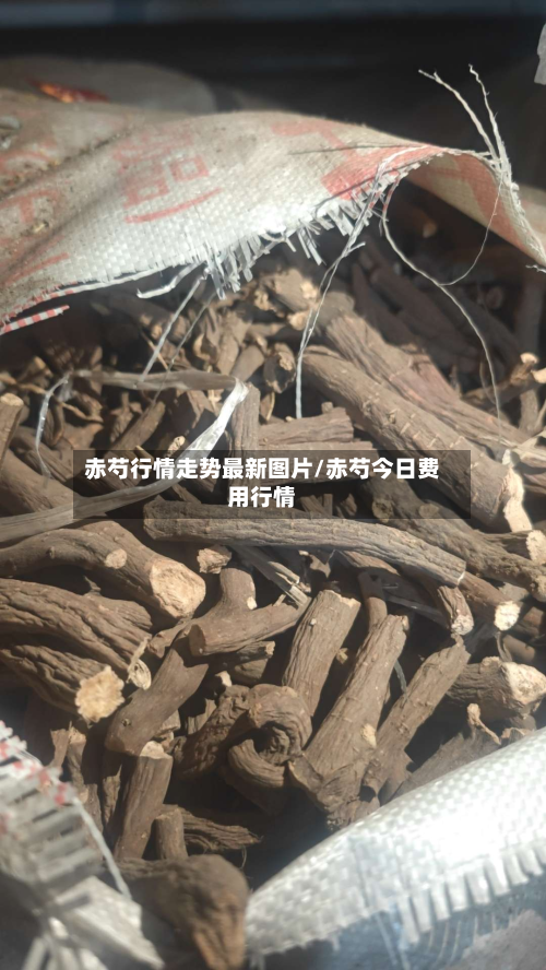 赤芍行情走势最新图片/赤芍今日费用行情-第2张图片