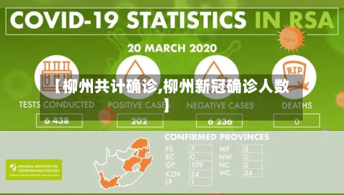【柳州共计确诊,柳州新冠确诊人数】