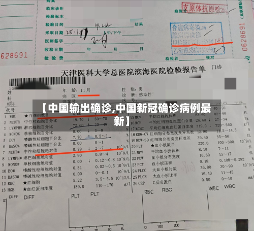 【中国输出确诊,中国新冠确诊病例最新】-第3张图片