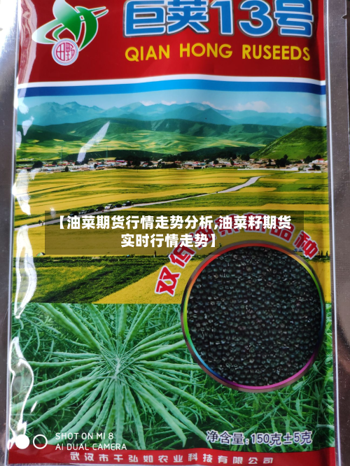 【油菜期货行情走势分析,油菜籽期货实时行情走势】