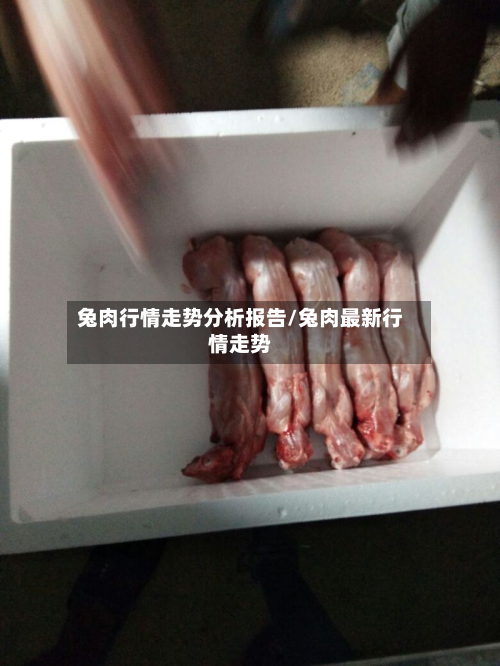 兔肉行情走势分析报告/兔肉最新行情走势