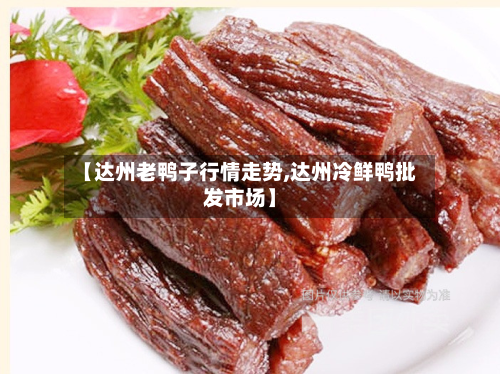 【达州老鸭子行情走势,达州冷鲜鸭批发市场】