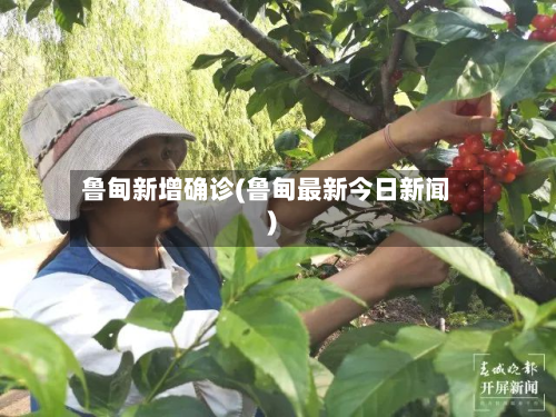 鲁甸新增确诊(鲁甸最新今日新闻)