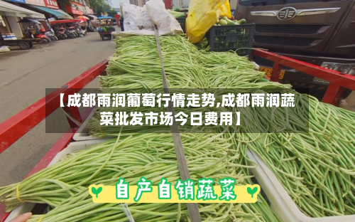 【成都雨润葡萄行情走势,成都雨润蔬菜批发市场今日费用】-第2张图片