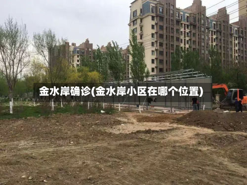 金水岸确诊(金水岸小区在哪个位置)-第3张图片