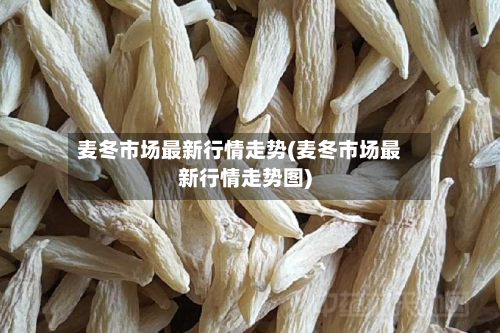 麦冬市场最新行情走势(麦冬市场最新行情走势图)-第2张图片