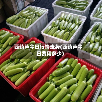 西葫芦今日行情走势(西葫芦今日费用多少)-第3张图片