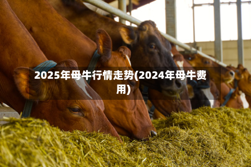 2025年母牛行情走势(2024年母牛费用)-第2张图片