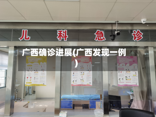 广西确诊进展(广西发现一例)-第2张图片