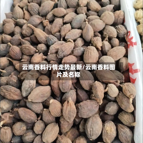 云南香料行情走势最新/云南香料图片及名称