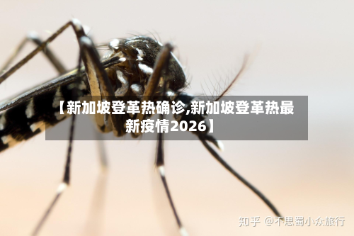 【新加坡登革热确诊,新加坡登革热最新疫情2026】