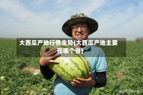 大西瓜产地行情走势(大西瓜产地主要在哪个省)