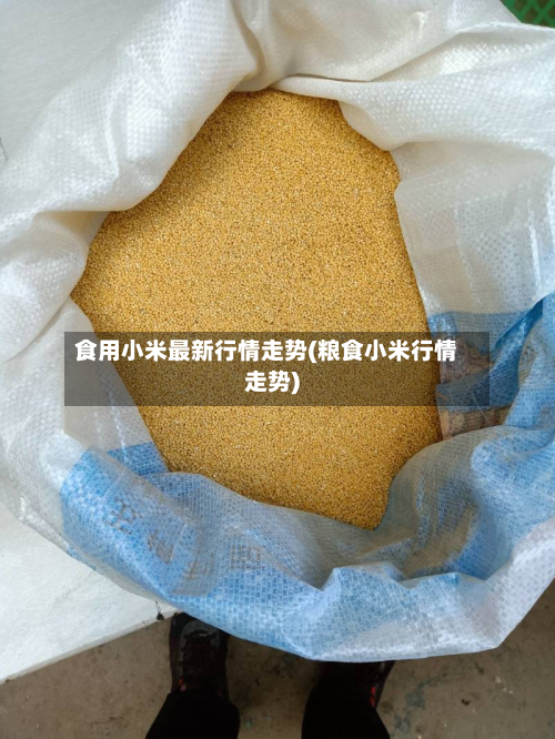 食用小米最新行情走势(粮食小米行情走势)