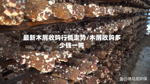 最新木屑收购行情走势/木屑收购多少钱一吨