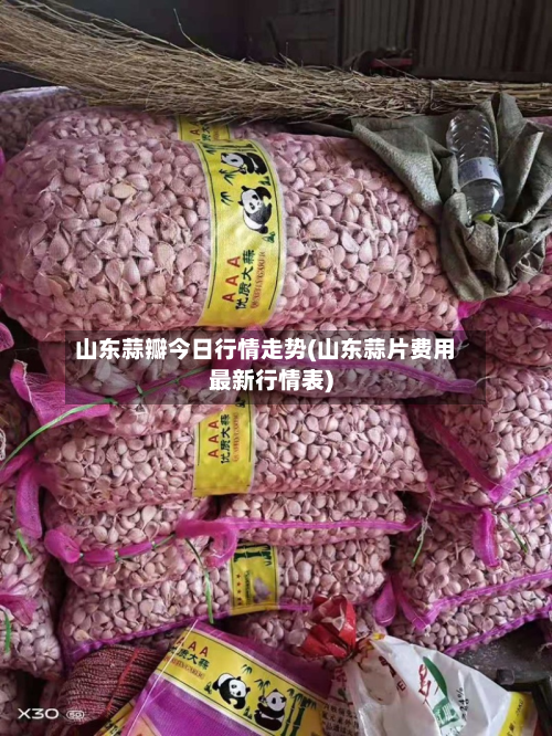 山东蒜瓣今日行情走势(山东蒜片费用最新行情表)