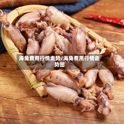 海兔费用行情走势/海兔费用行情走势图