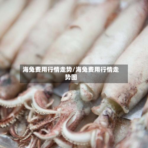 海兔费用行情走势/海兔费用行情走势图-第2张图片