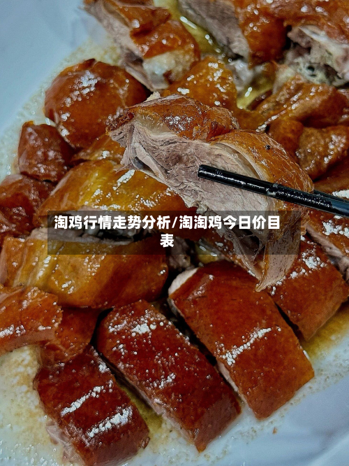 淘鸡行情走势分析/淘淘鸡今日价目表-第2张图片