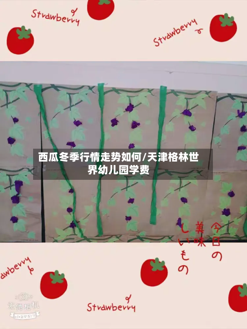 西瓜冬季行情走势如何/天津格林世界幼儿园学费-第2张图片