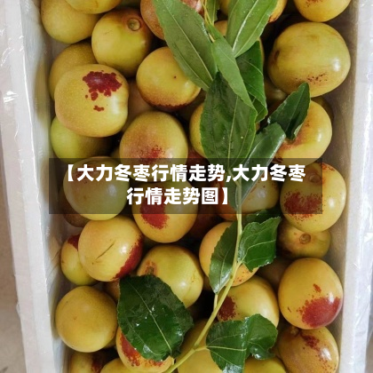 【大力冬枣行情走势,大力冬枣行情走势图】