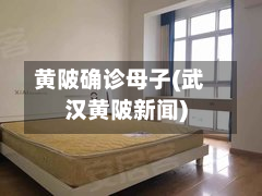 黄陂确诊母子(武汉黄陂新闻)