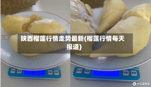 陕西榴莲行情走势最新(榴莲行情每天报道)-第2张图片