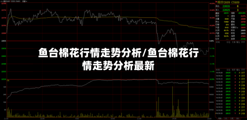 鱼台棉花行情走势分析/鱼台棉花行情走势分析最新-第3张图片