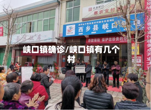 峡口镇确诊/峡口镇有几个村