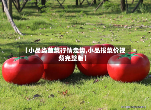 【小品类蔬菜行情走势,小品报菜价视频完整版】