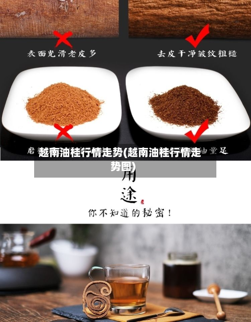 越南油桂行情走势(越南油桂行情走势图)